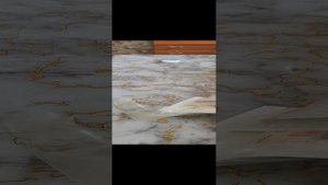 РРРРАСПАКОВОЧКА💪😻