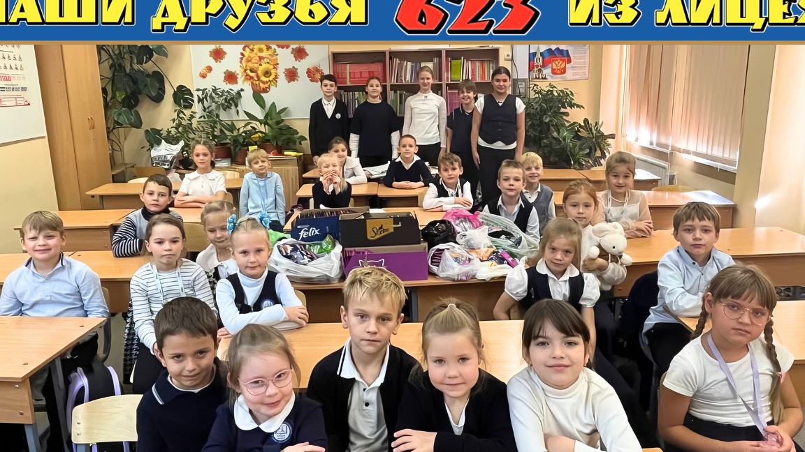 Кошки михалыча