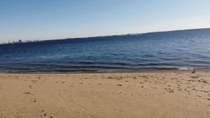 Волга в Саратове!!!  ноябрь 2024!!!