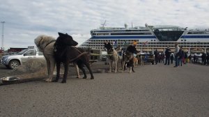 1249451-hd_1920_1080_25fps