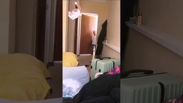 зомби апокалипсис 1 серия! 💚 (КОТОКУБ)