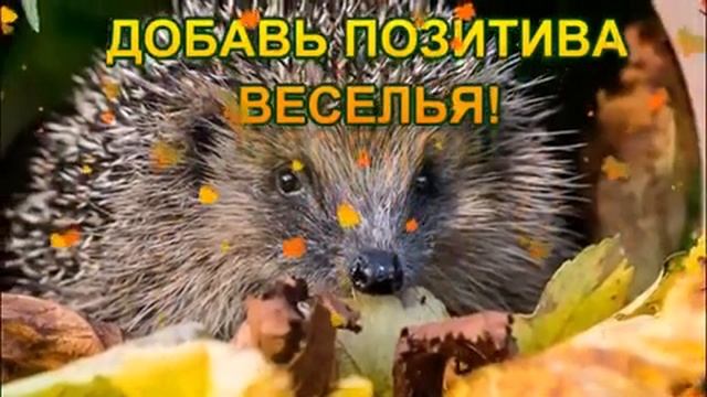 Плодотворного дня и отличного настроения!