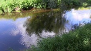 Гармония души. Стихи Оксаны Велк. Читает автор.