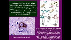 Дубынин В. А. - Химия мозга - 7. Дофамин
