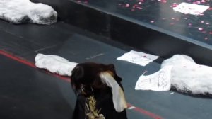 "Мадам Баттерфляй". Фестиваль Пуччини. 18.11.18. Поклоны