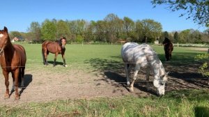 4188423-uhd_3840_2160_24fps