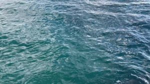 Осенняя прогулка по пляжу Дедеркоя. 30.10.24г