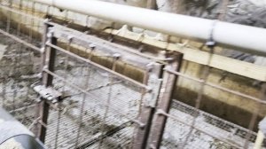 VID_20241103_191218.mp4