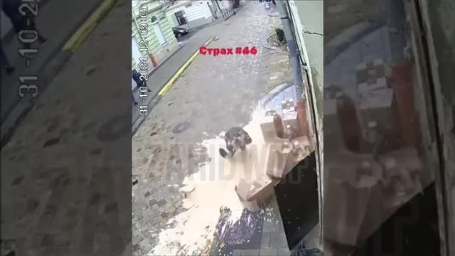 Во Львове пивная кега рванула в руках мужчины