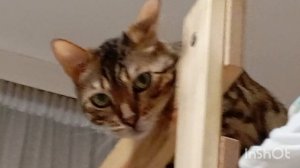 Хэллоуин 👻👻👻