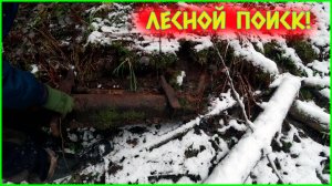 ПОСЛЕДАМ МЕЛИОРАТОРОВ И ЛЕСОРУБОВ!!!