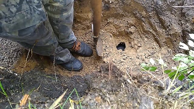 Охота на барсука // Охота на барсука с Ягдтерьером