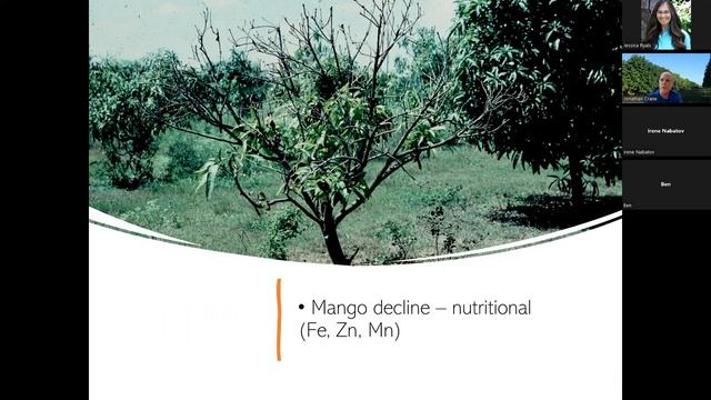 UF/IFAS Extension: Mango Morning with Dr. Jonathan Crane