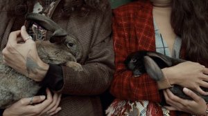 10649792-uhd_4096_2160_25fps