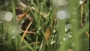 Интересные истории из жизни - Аудио рассказы