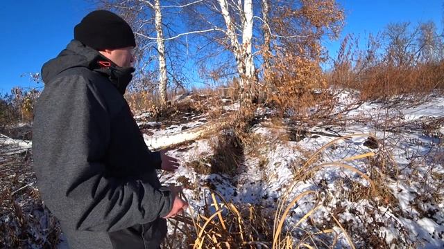 Бобр напал на собаку//The beaver attacked the dog