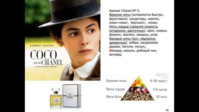 Дубынин В. А. - Физиология сенсорных и двигательных систем - Обонятельная и сенсорная системы