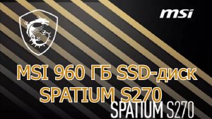 Шикарный MSI 960 ГБ SSD SPATIUM S270 или обман?