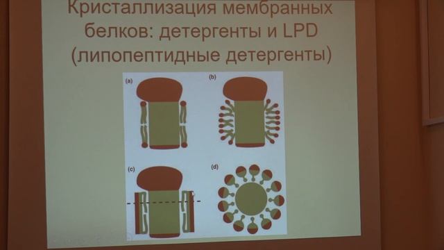 Нечипуренко Д. Ю. - Экспериментальные методы в биофизике - Рентгеноструктурный анализ