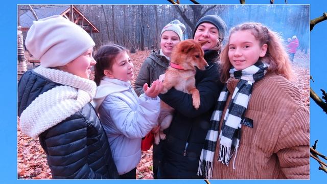 Маленькая история одного осеннего дня. Поздняя осень.Пора размышлений...В поисках капельки счастья..