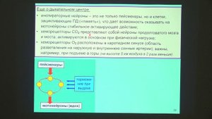 Дубынин В. А. - Физиология потребностей - 10. Гомеостаз