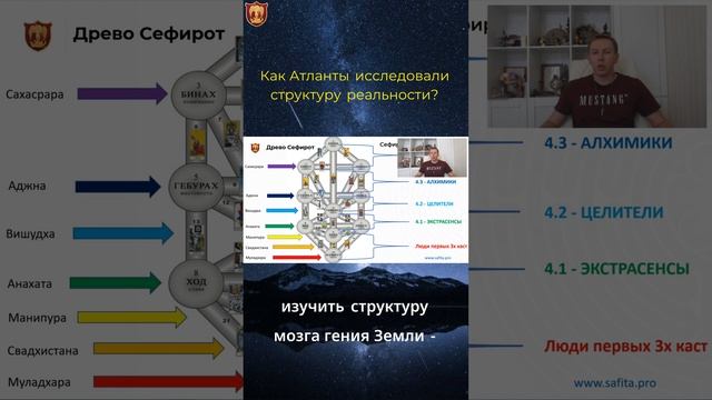 Как Атланты исследовали структуру реальности
safita.pro