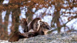 11100644-uhd_3840_2160_25fps