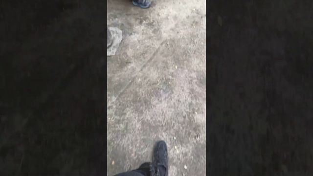 курсед я твой фанат / Zxcursed