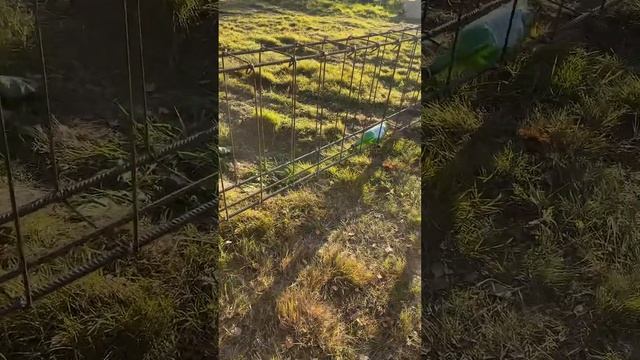 Как быстро вязать арматурный каркас  #арматура #фундаментсвоимируками #фундаментдлядома