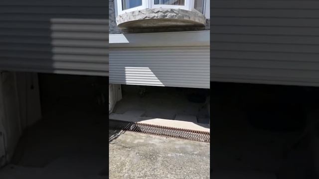 Свой дом у моря 45 #геленджик #недвижимость #домуморя #shorts смотреть онлайн