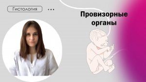 Гистология | Эмбриология. Провизорные органы