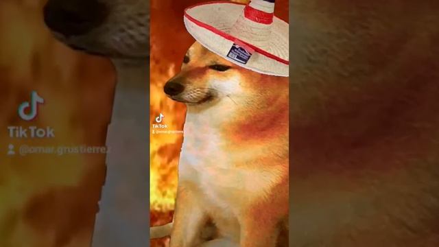 Storytime I don't remember the número) How did I learn русский язык #мексиканец #иностранец ❤️ смотреть онлайн