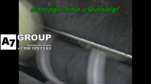 Агрегат отдельно или полноценная линия в сборе для очистки капусты от покровного листа (Германия)