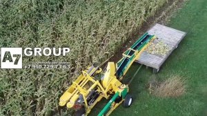 Комбайн прицепной Oxbo/CP100, однорядный для уборки сладкой кукурузы в початках для свежего рынка