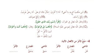 14/31. МЕДИНСКИЙ КУРС 2 ТОМ || Устаз Абдуллах