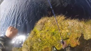 Рыбалка на Вильенте. Щука, окунь.