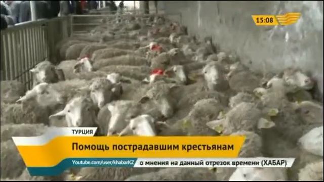 Турецкие власти оказывают помощь фермерам пострадавшим из-за суровой зимы