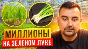 Как заработать миллион на Зеленом Луке?