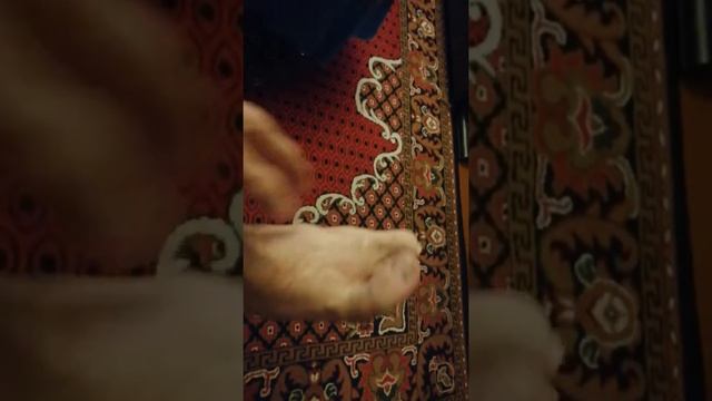 Реакция на мои две ноги