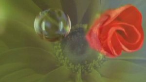 Поговорим о Главном