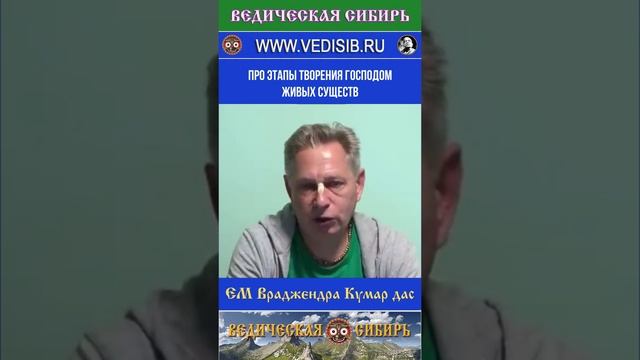 Про этапы творения Господом живых существ на Земле?