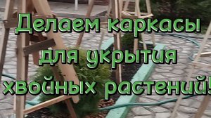 🌲Делаю каркасы для укрытия хвойных растений🌲