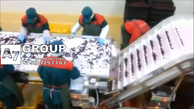 Как увеличить доходы вашего бизнеса с линией мойки и сортировки ягод