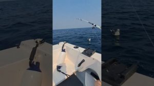 02.07.24г. Очередной выход на камбалу, О. Русский,  район языка. Приморский край