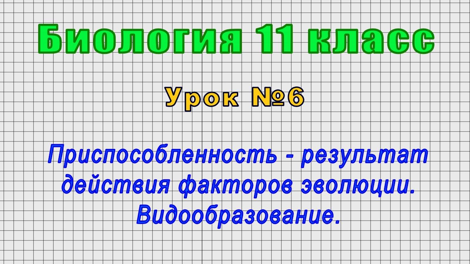 Биология 11 класс (Урок№6 - Приспособленность-результат действия факторов эволюции.Видообразование.)