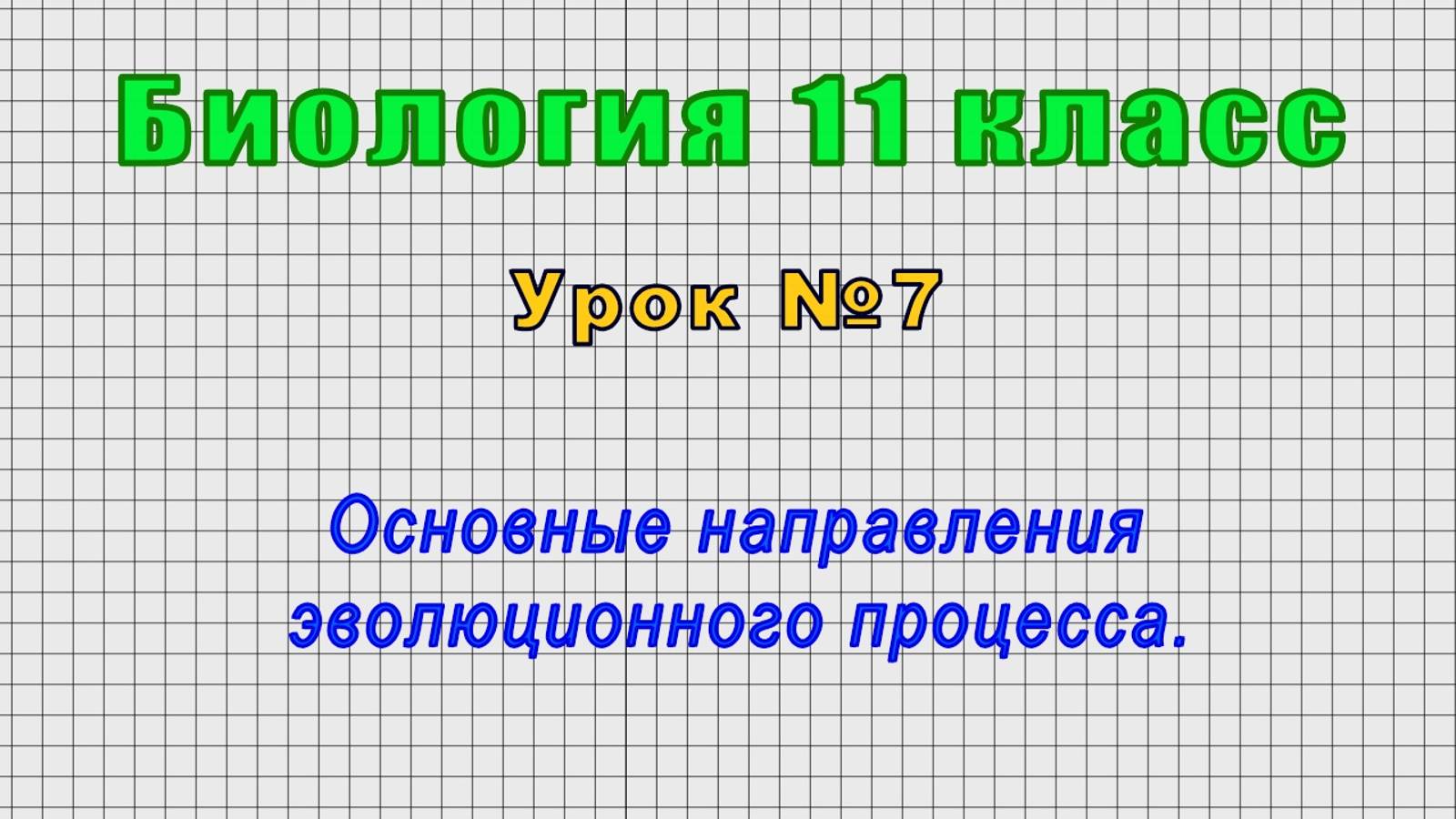 Биология 11 класс (Урок№7 - Основные направления эволюционного процесса.)