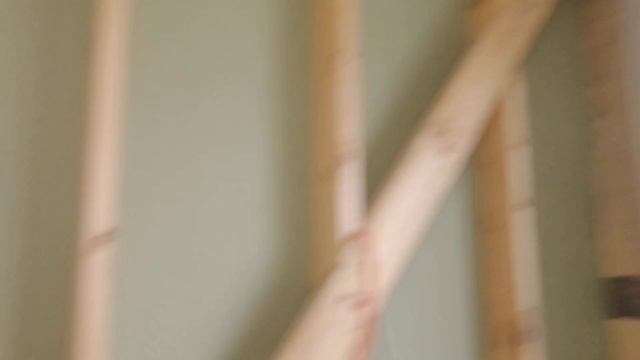 Мини отчет как построить одноэтажный каркасный дом за 153 дня