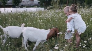 5387674-uhd_3840_2160_30fps