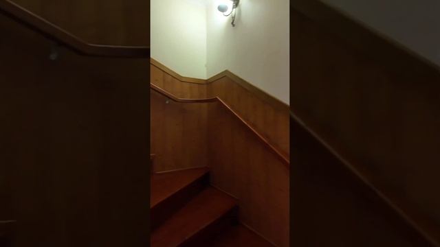 А ещё гостиница, мансарда и подвал  #геленджик #жизньнаморе #shorts смотреть онлайн