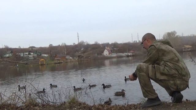 ЗАГОРЬЕ 26.10.2021